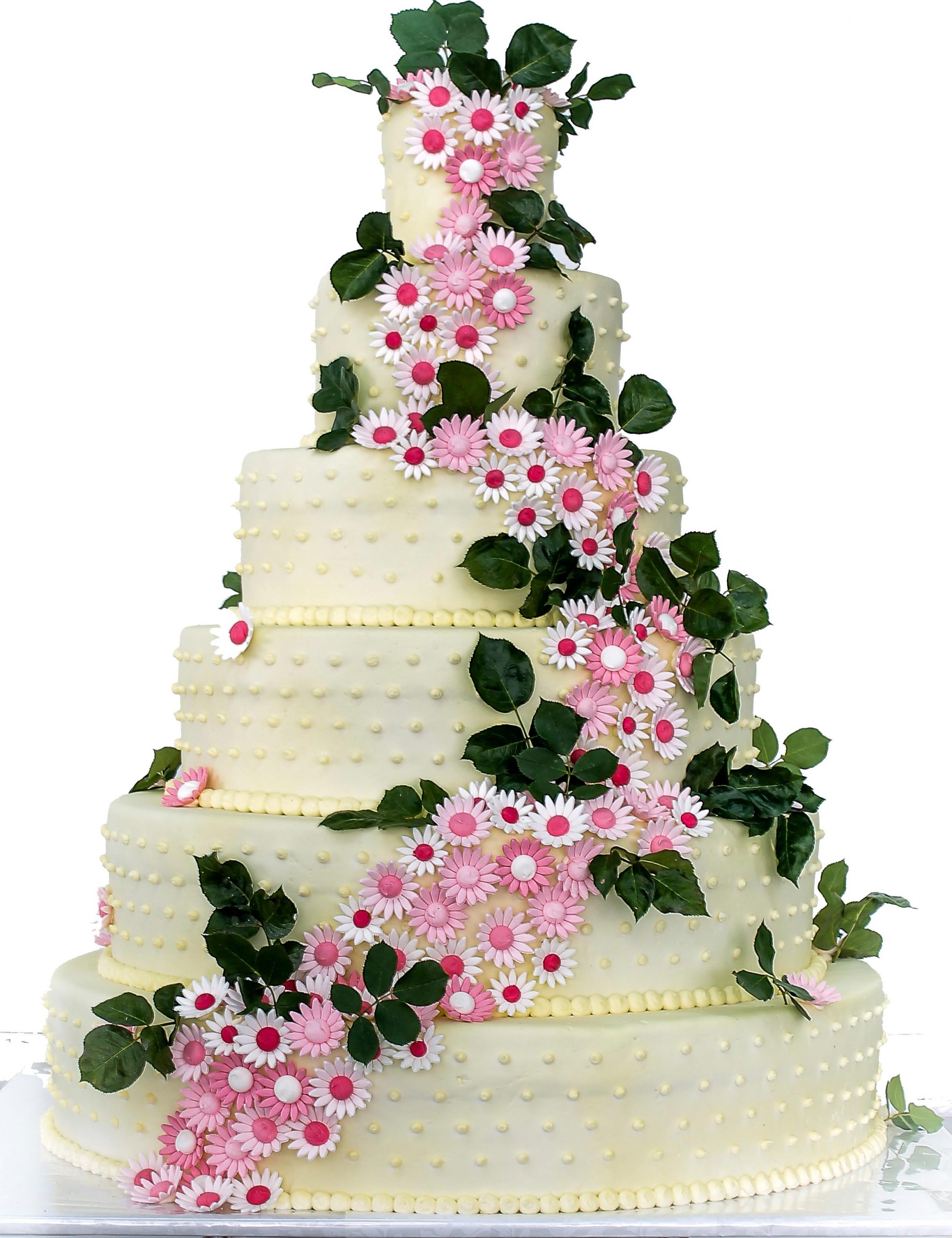 Gateau Americain Le Chardon Bleu Patisserie Chocolaterie Glacier A Saint Just Saint Rambert