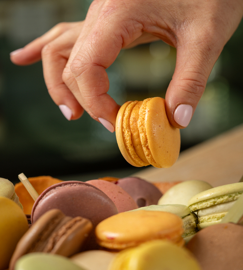 Entremets glacés