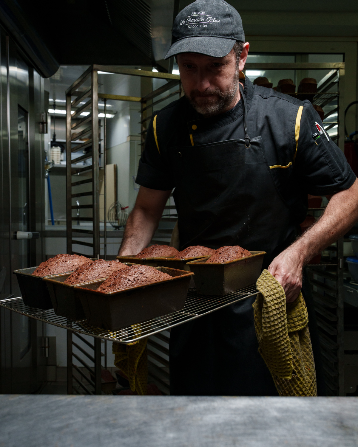 CHA06916_Chardon bleu